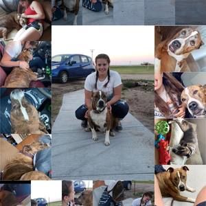 Meet your Posher, Katrina